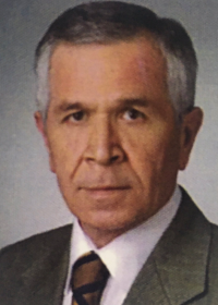 Mehmet Avni Yücel
